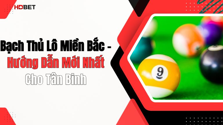 Bạch Thủ Lô Miền Bắc – Hướng Dẫn Mới Nhất Cho Tân Binh