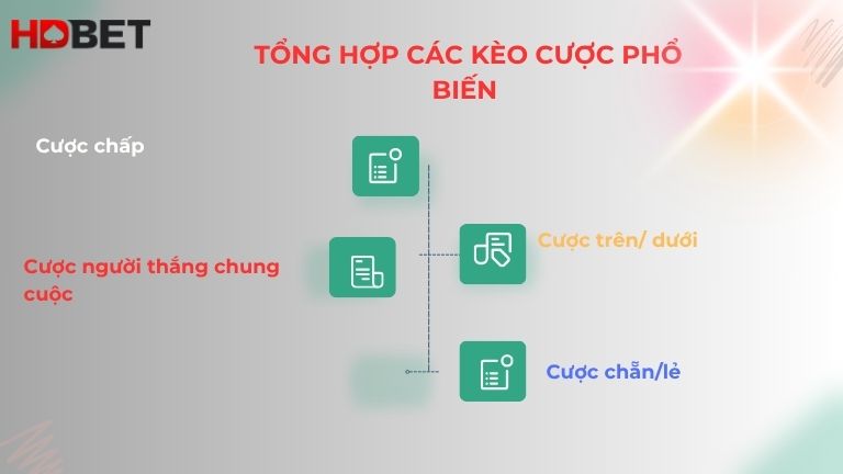 Bong Ban Tai Hdbet Cung Cap Da Dang Cac Loai Keo Cuoc Chat Luong