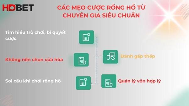 Cac Meo Cuoc Rong Ho Tu Chuyen Gia Sieu Chuan