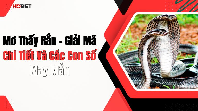 Mơ Thấy Rắn – Giải Mã Chi Tiết Và Các Con Số May Mắn