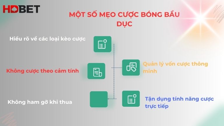 Mot So Meo Bat Cuoc Sieu Chuan Tu Chuyen Gia