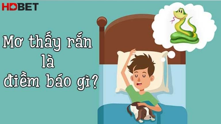 Y Nghia Cua Nhung Giac Mong Thay Ran