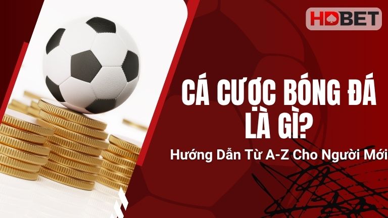 Cá Cược Bóng Đá Là Gì? Hướng Dẫn Từ A-Z Cho Người Mới