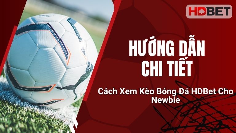Hướng Dẫn Chi Tiết Cách Xem Kèo Bóng Đá HDBet Cho Newbie