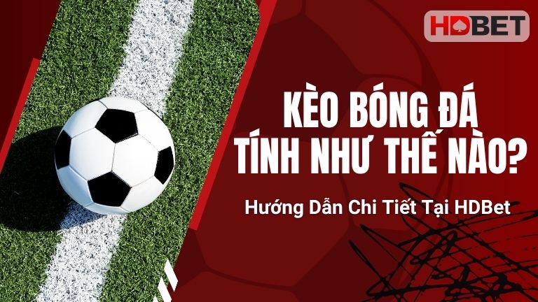 Kèo Bóng Đá Tính Như Thế Nào? Hướng Dẫn Chi Tiết Tại HDBet
