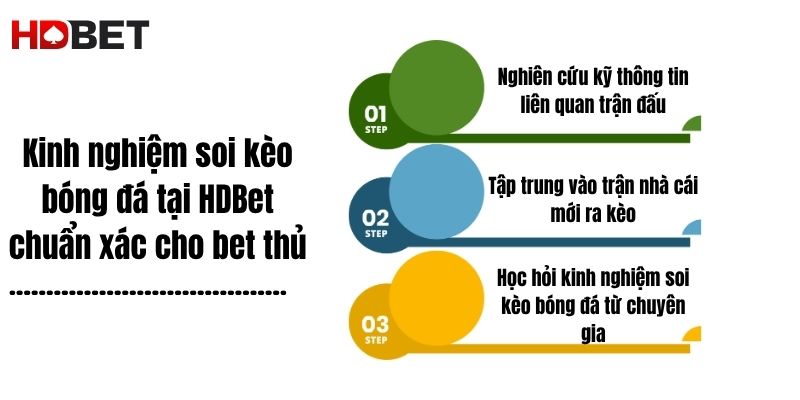 Kinh Nghiem Soi Keo Bong Da Tai Hdbet Chuan Xac Cho Bet Thu