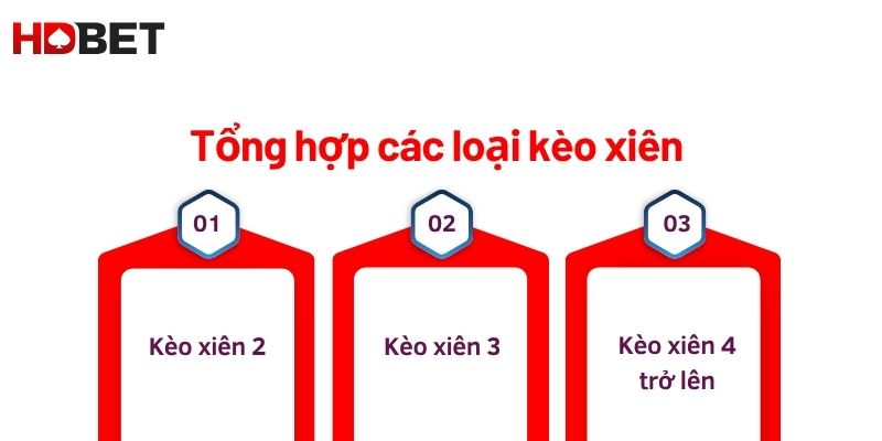 Tong Hop Cac Loai Ve Keo Xien Bong Da