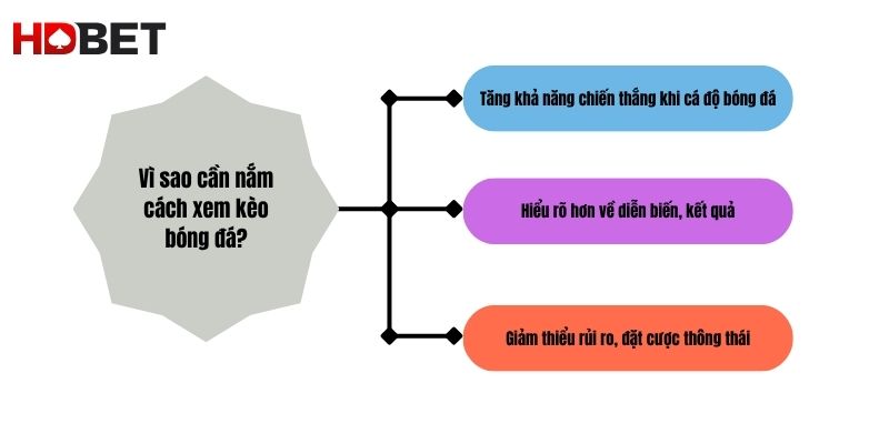 Vi Sao Can Nam Cach Xem Keo Bong Da