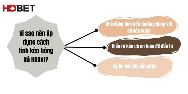 Vi Sao Nen Ap Dung Cach Tinh Keo Bong Da Hdbet