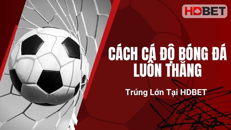 Cách Cá Độ Bóng Đá Luôn Thắng, Trúng Lớn Tại HDBET