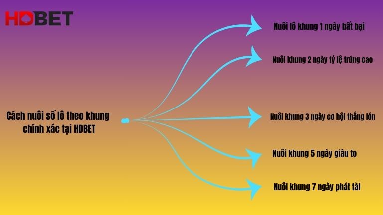 Cach Nuoi So Lo Theo Khung Chinh Xac Tai Hdbet