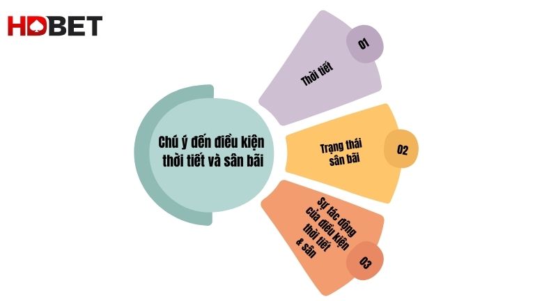 Chu Y Den Dieu Kien Thoi Tiet Va San Bai