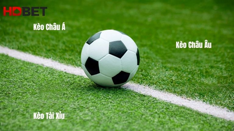 Kham Pha Cac Ty Le Keo Bong Da Pho Bien Tai Hdbet