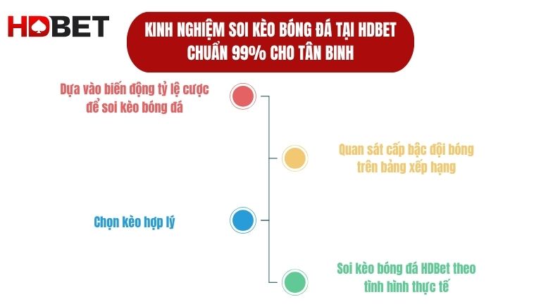 Kinh Nghiem Soi Keo Bong Da Tai Hdbet Chuan 99 Cho Tan Binh