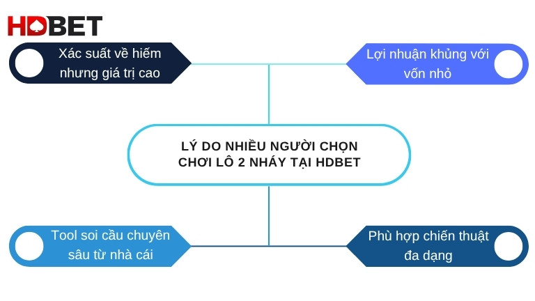 Ly Do Nhieu Nguoi Chon Choi Lo 2 Nhay Tai Hdbet