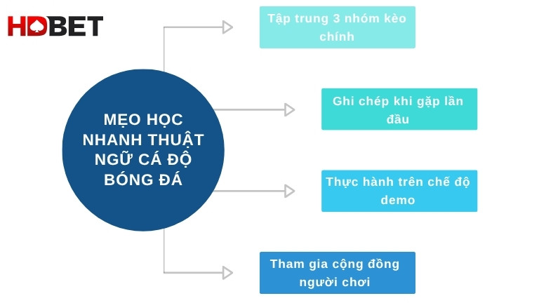 Meo Hoc Nhanh Thuat Ngu Ca Do Bong Da