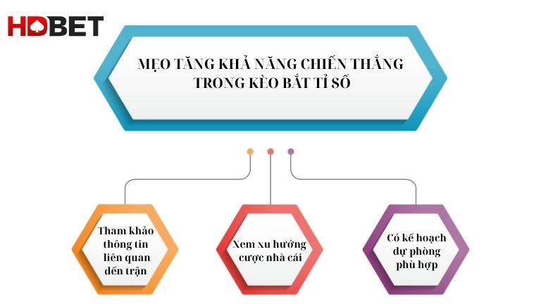 Meo Tang Kha Nang Chien Thang Trong Keo Bat Ti So