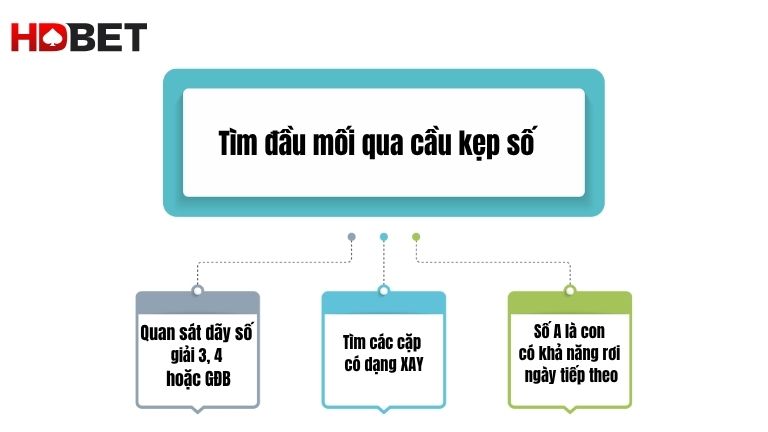 Tim Dau Moi Qua Cau Kep So
