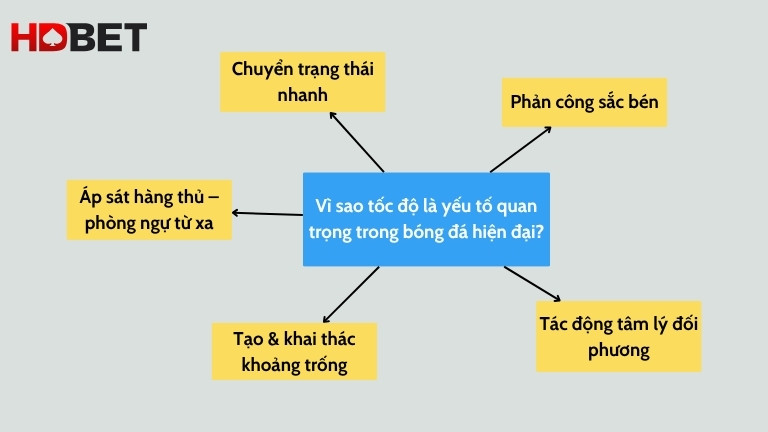 Vi Sao Toc Do La Yeu To Quan Trong Trong Bong Da Hien Dai