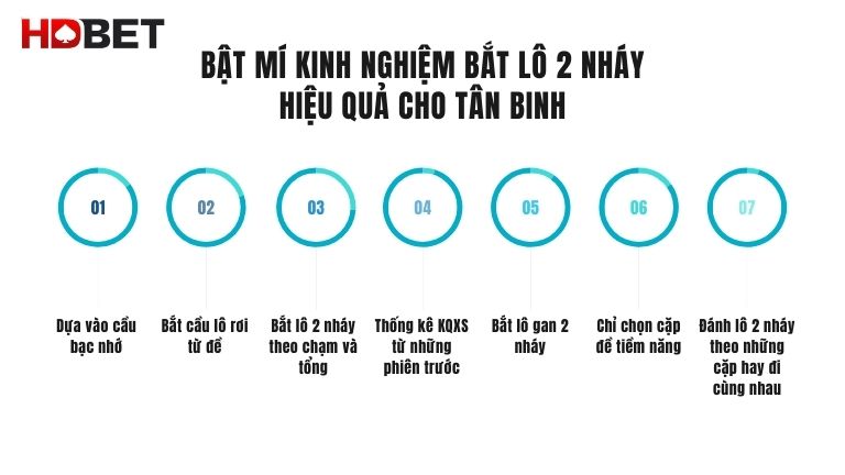 Bat Mi Kinh Nghiem Bat Lo 2 Nhay Hieu Qua Cho Tan Binh