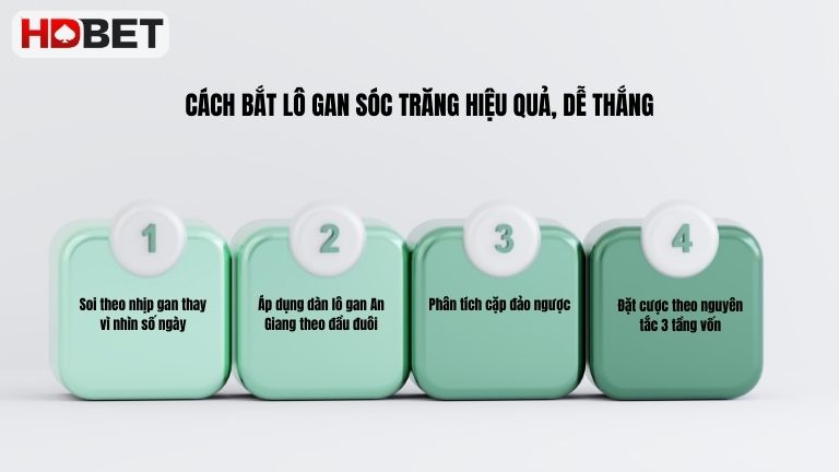 Cach Bat Lo Gan Soc Trang Hieu Qua De Thang
