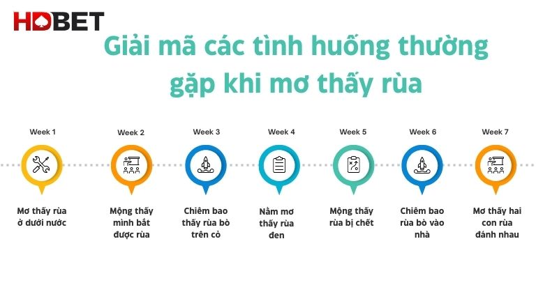 Giai Ma Cac Tinh Huong Thuong Gap Khi Mo Thay Rua