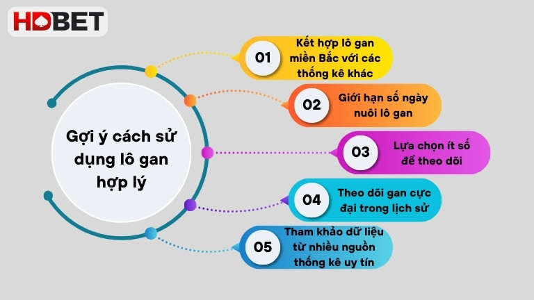 Goi Y Cach Su Dung Lo Gan Hop Ly