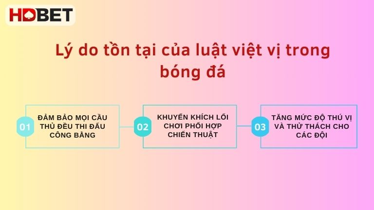 Ly Do Ton Tai Cua Luat Viet Vi Trong Bong Da