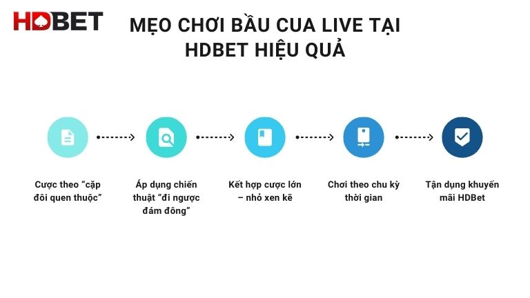 Meo Choi Bau Cua Live Tai Hdbet Hieu Qua