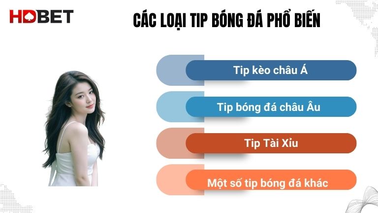 Phan Loai Nhanh Cac Tip Trong Bong Da Pho Bien Nhat