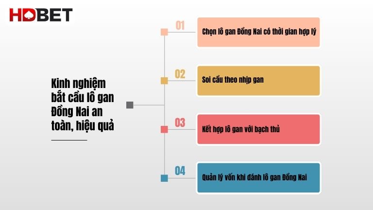Kinh Nghiem Bat Cau Lo Gan Dong Nai An Toan Hieu Qua