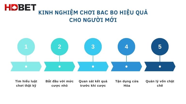 Kinh Nghiem Choi Bac Bo Hieu Qua Cho Nguoi Moi