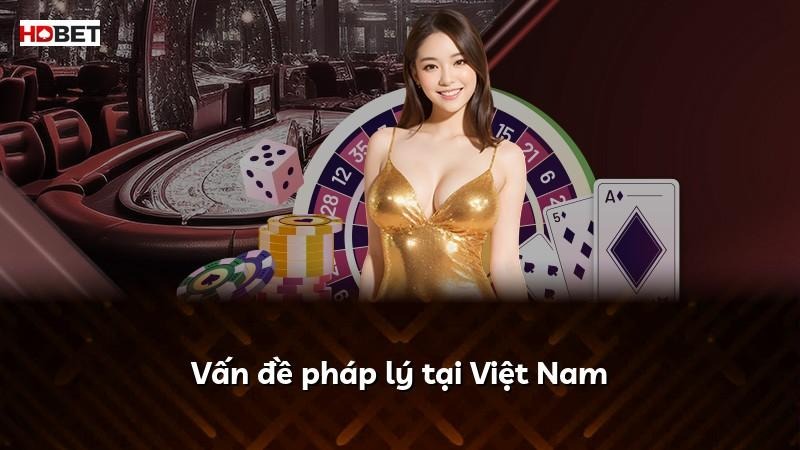 Vấn đề pháp lý tại Việt Nam