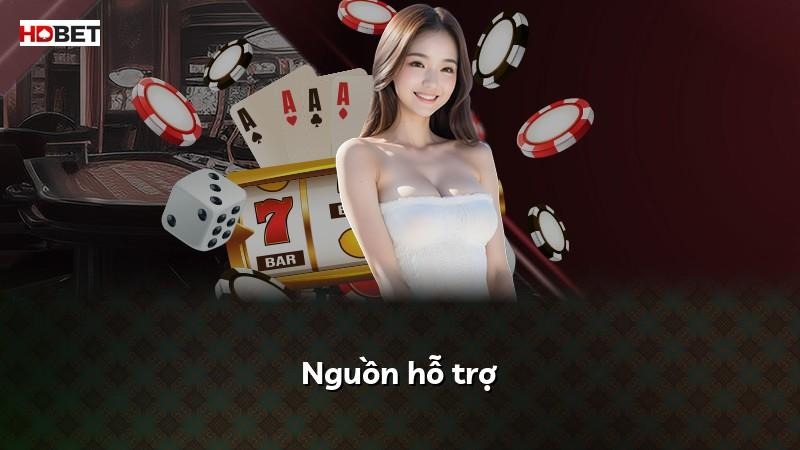 Nguồn hỗ trợ